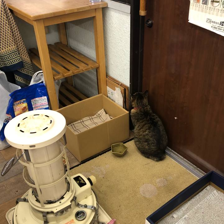 702e7d4b e7be 4c56 97bc 726ad1094b3c 1610173242720