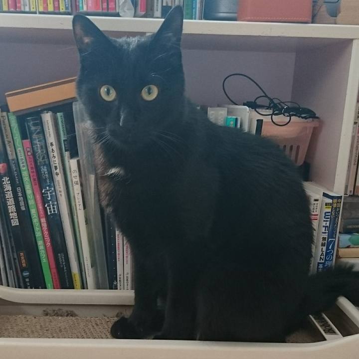 702e9cef fb58 4d01 a43f 6da8bb1e8bb7 1556517976559