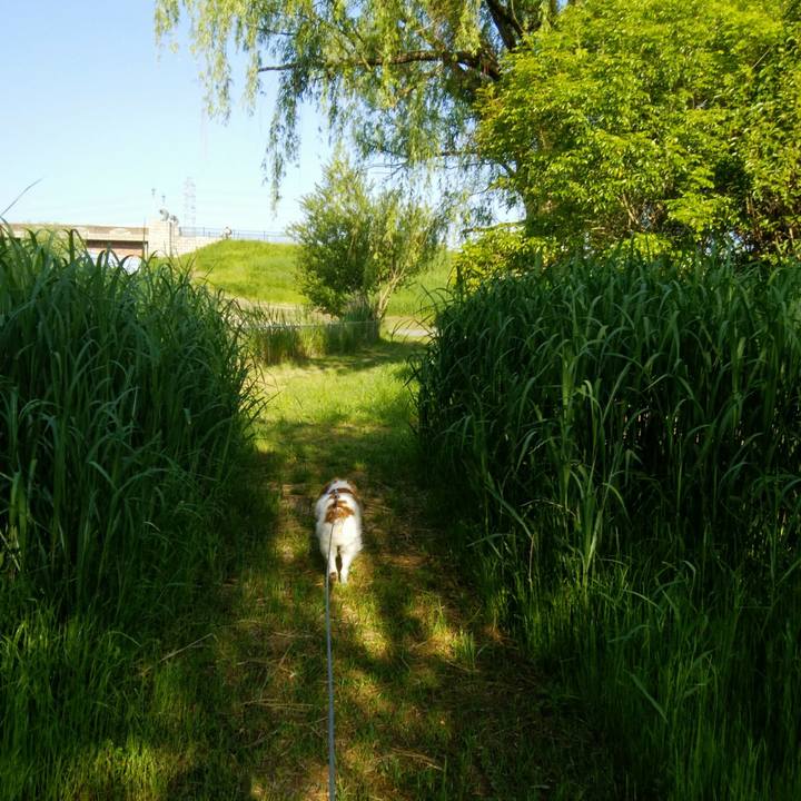 702ebedb 98b7 42bb b401 1483de6597b0 1558050976505