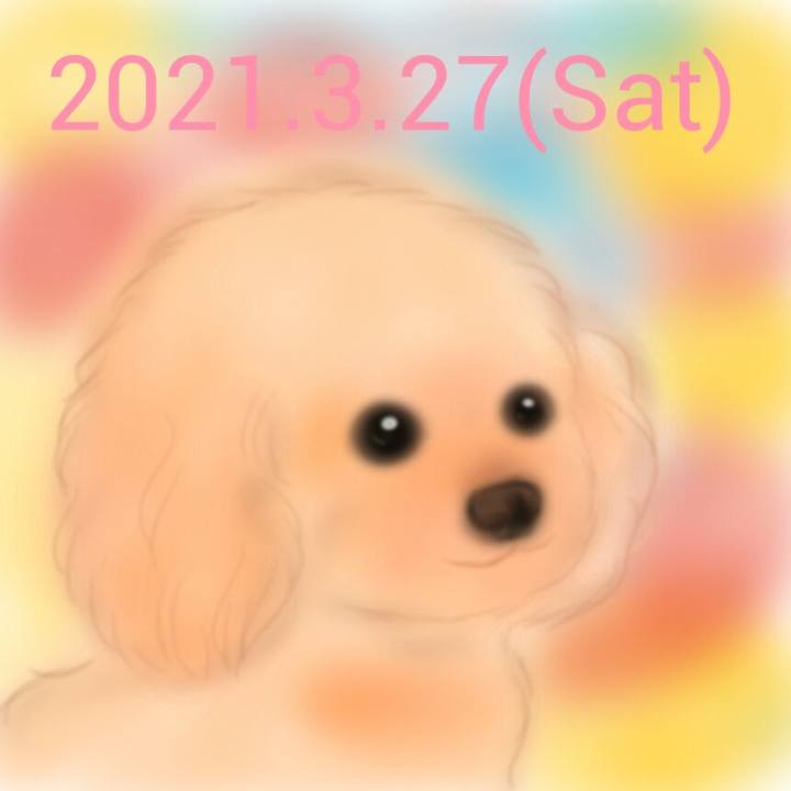 702ec18b 8c62 42de b6ca ec8ae311815e 1616846168499
