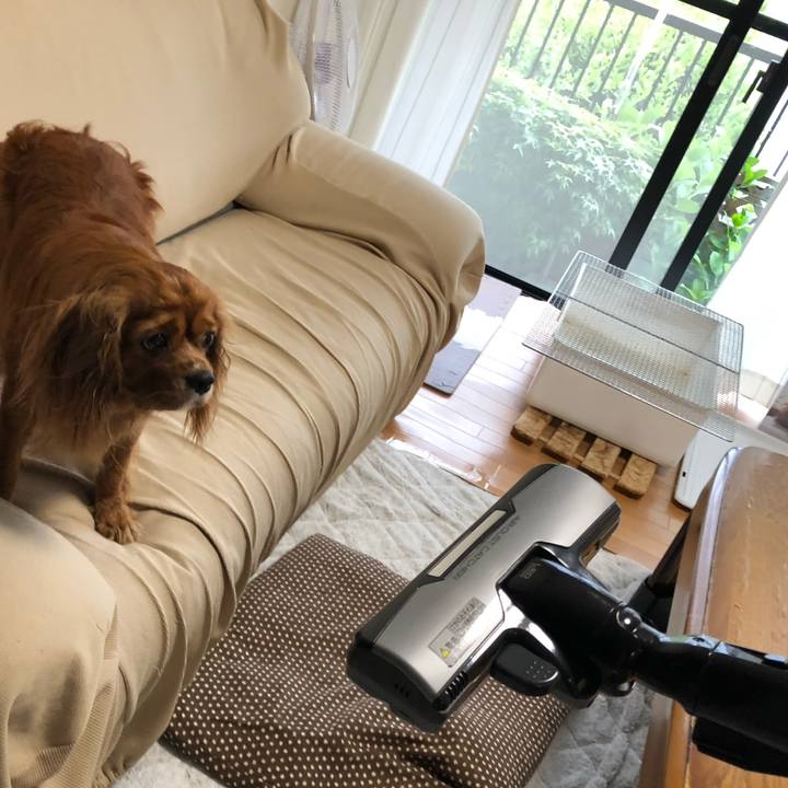 702eeb72 5e3f 4839 a92b 1e66f1d2a234 1589148306475