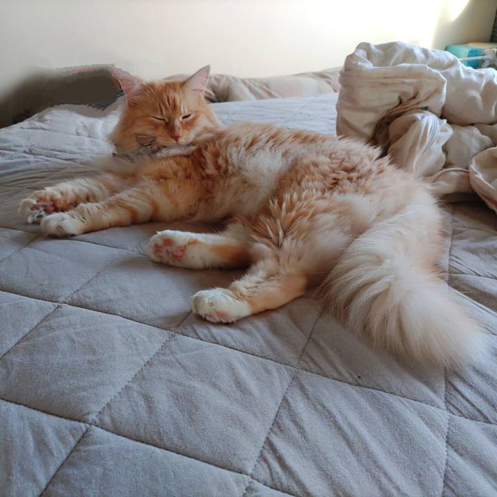 702effe5 cacb 43e7 a73f f93a9c8932c5 1722205141820