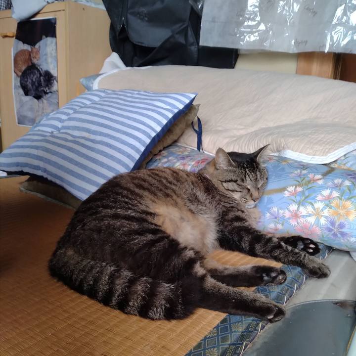 702f0a6b 9122 4b37 b13c c37848fd1a60 1720329235469