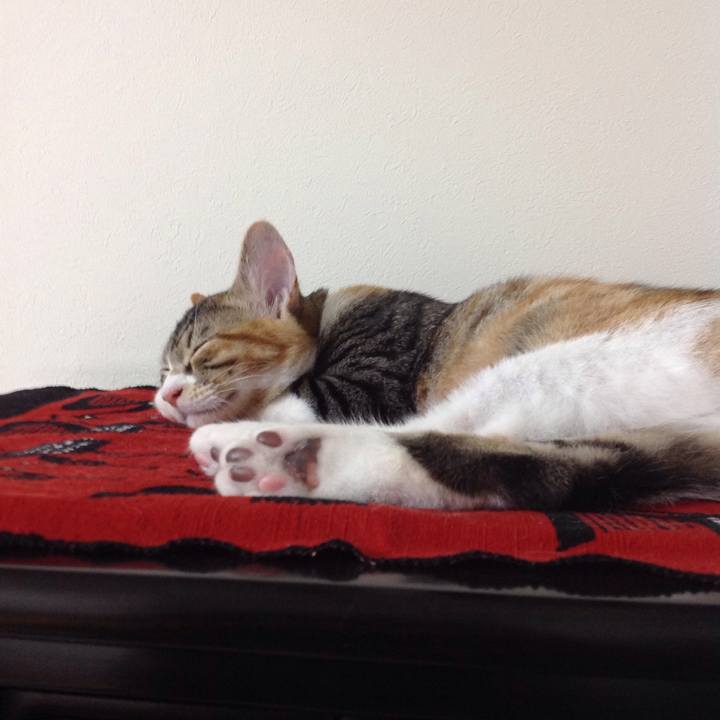 702f1362 48ee 4982 878a 2b7b4da33efd 1629712648883