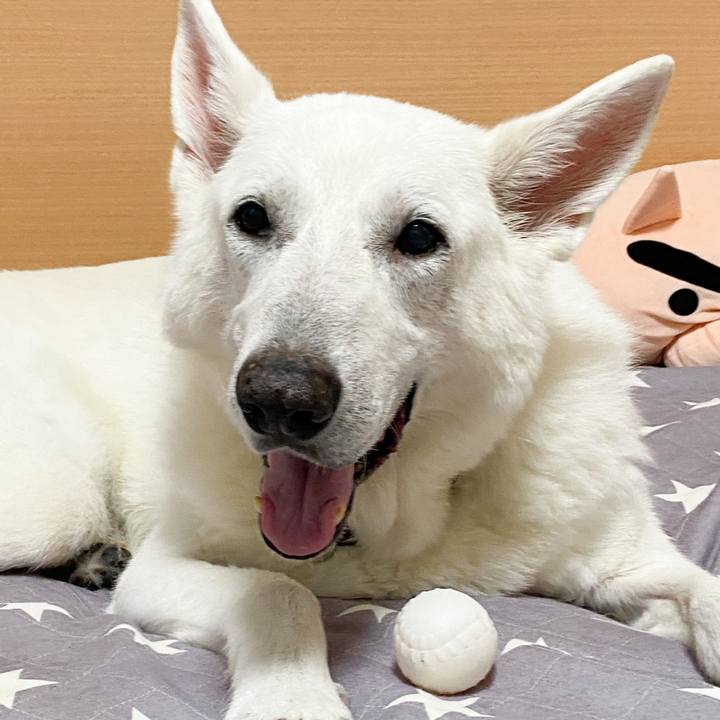 702f1b32 1544 495e b11f 1acfe1cfe2bd 1665621231104