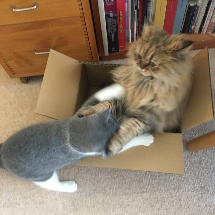 702f4122 2e51 43c8 a8f8 024ede691edc 1512176843992