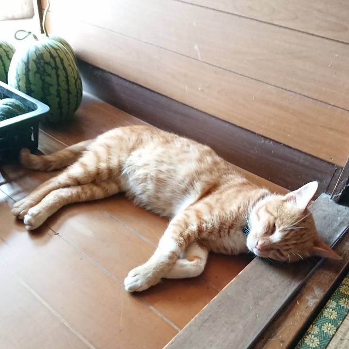 702fc3df 861e 492d 9e9d 3fc9c5780cc7 1565746913215