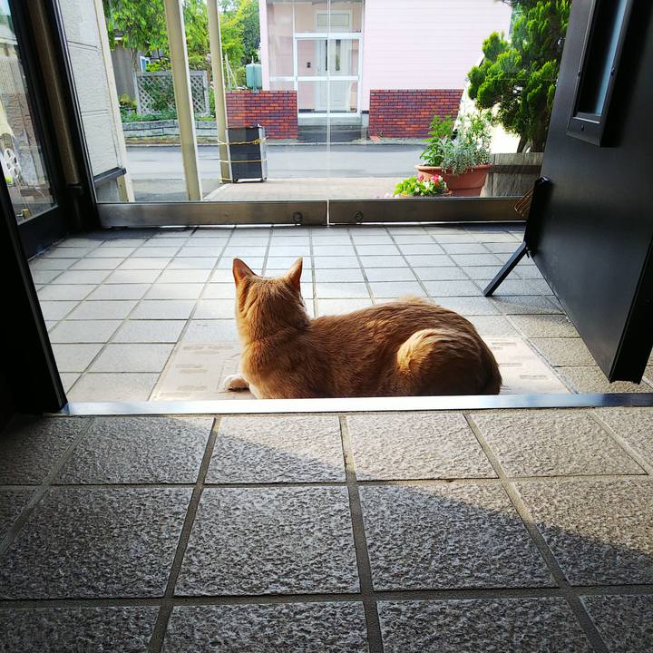 70305dfa e8bb 4a73 9826 8e4bd4f737ff 1655868293698