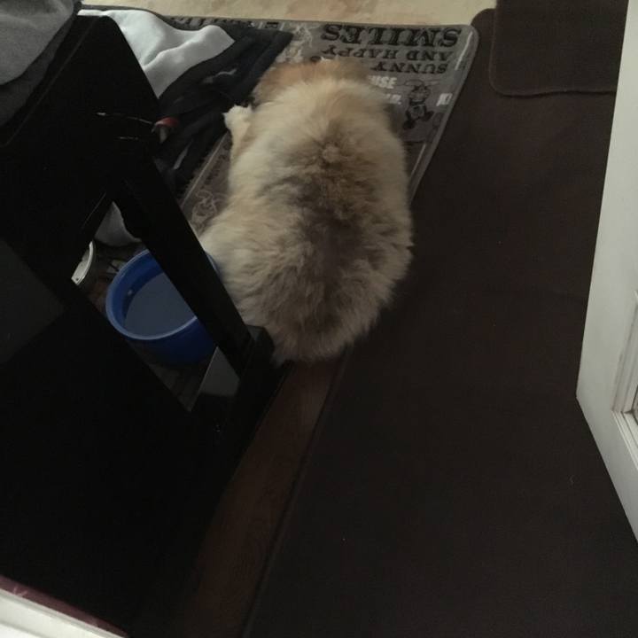 70308d50 8a52 4f3a b6f8 b59559413197 1579159380161