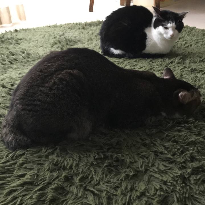 7030999e 7baf 467d 9131 4e31fa730401 1551064106478