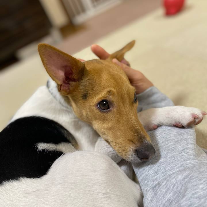 7030b411 344e 46e1 ae5a 7ad274db44e6 1767100635014