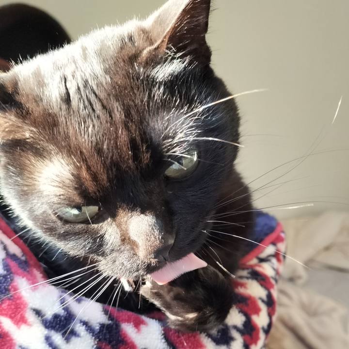 7030d650 b105 4bfe 896b b6c4a662b2a2 1648074882175