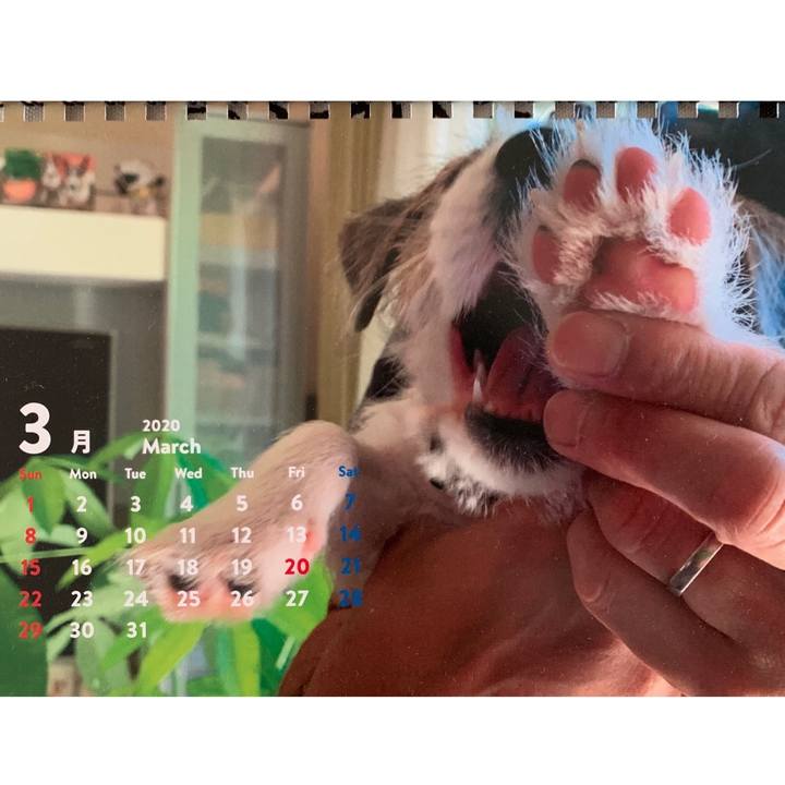 7030f651 99af 4302 aa8d d2d5577be08d 1585609408145