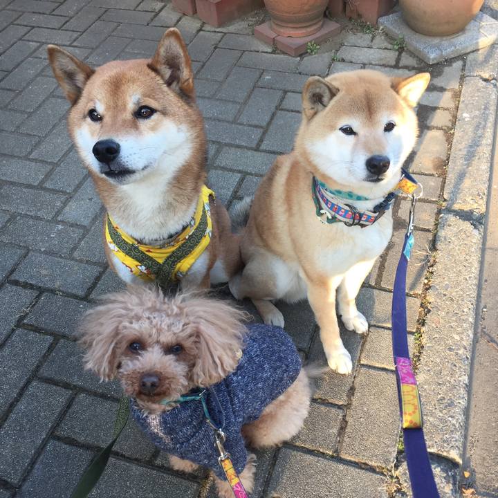 7030f9d9 aa13 4325 b693 1a39a1997404 1518172009786