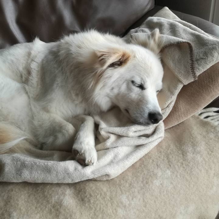 703151a5 0754 45b8 ae33 f4d234ff3e88 1521688863196