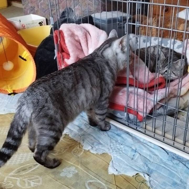 70317170 fe24 415b a835 6611edb92755 1680679609824