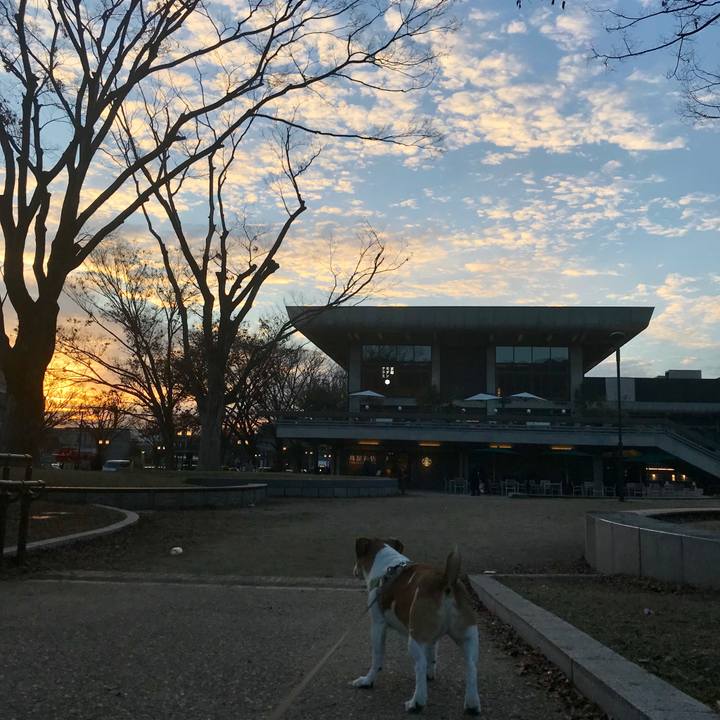 70317ca7 7be5 4e6f a570 cd6e5685898a 1546593003546