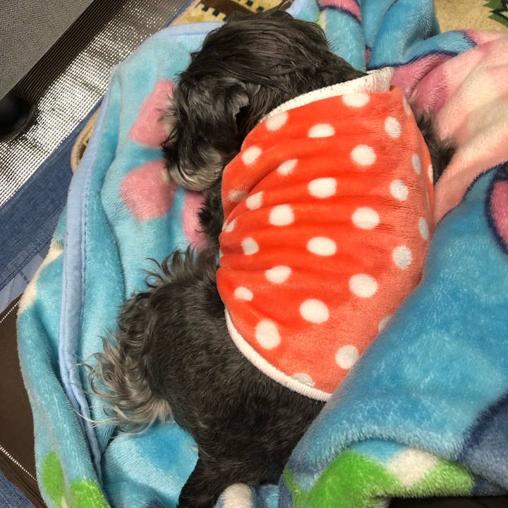 70318186 9f7e 418e 8710 2f5918db91de 1705561932983