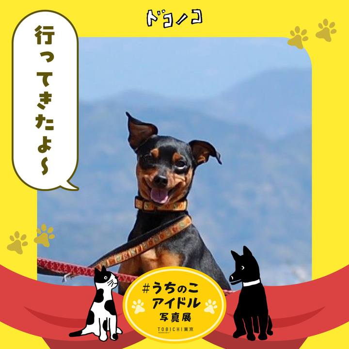 7031867a d308 4d37 8b15 e9cf5e4d0163 1761225852176