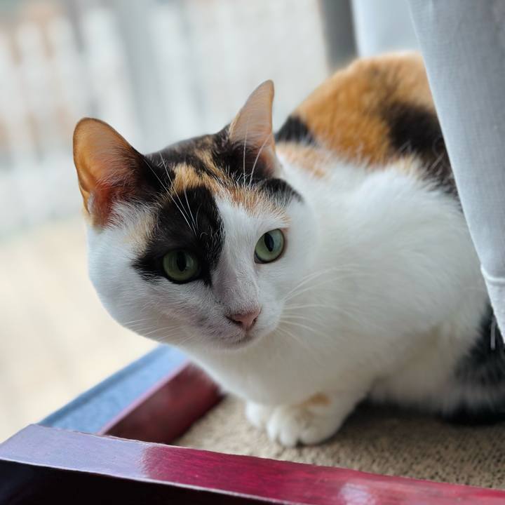 7031aa57 57e8 4cc7 8e01 9efeda9d273c 1669859307947