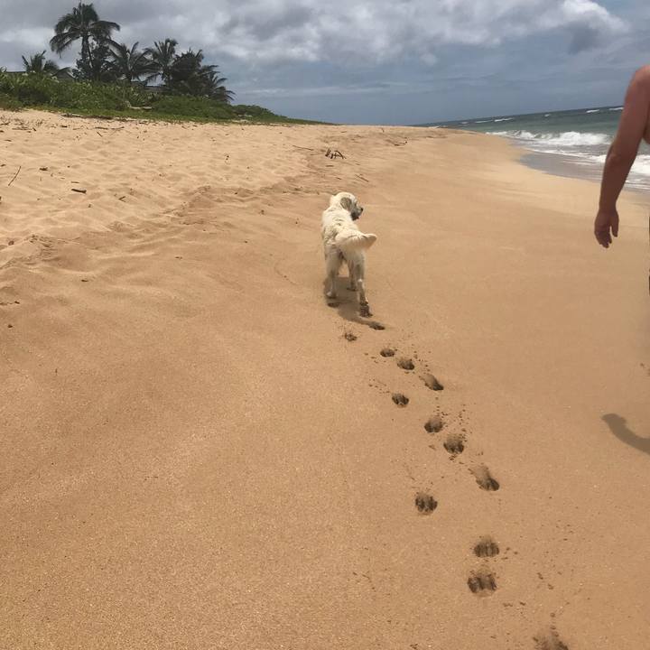 7031e03f 0e7d 49c4 b046 60297093ca19 1528681681791