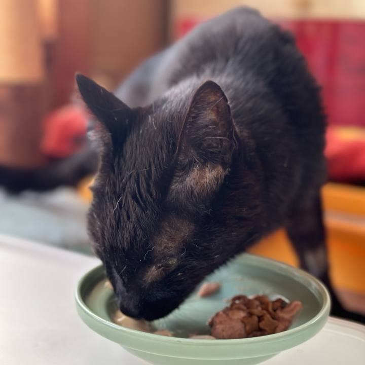 7031e2e7 01bb 4973 a2f1 095f708d4e73 1712885835541