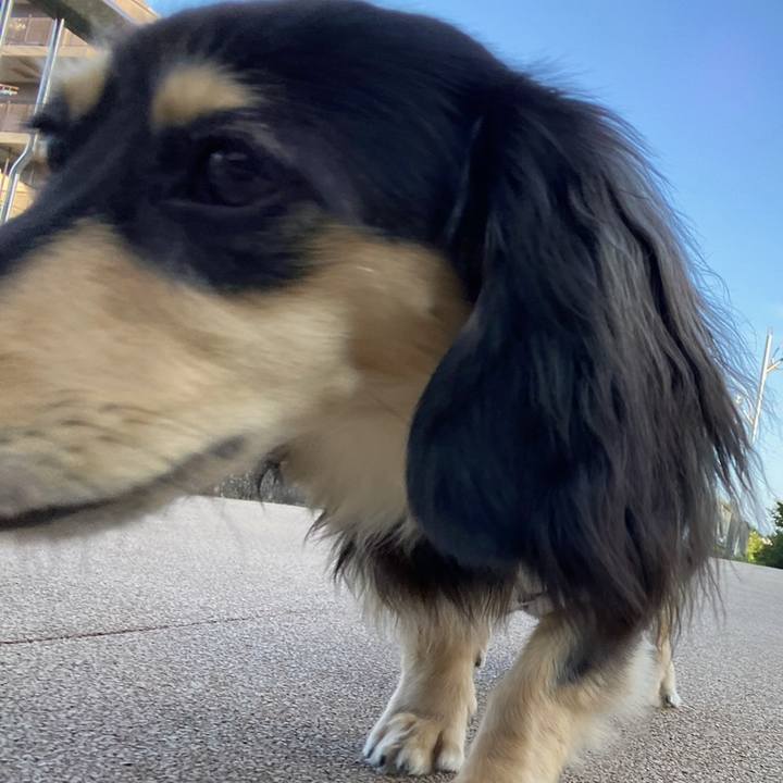 7031e753 5155 4c53 8d76 69fe7d6a6f6d 1691106512239