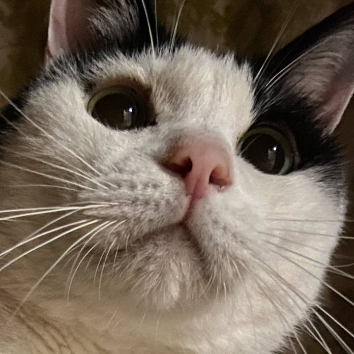 7032637a acae 422c b603 fda4d9cb5923 1593179931238