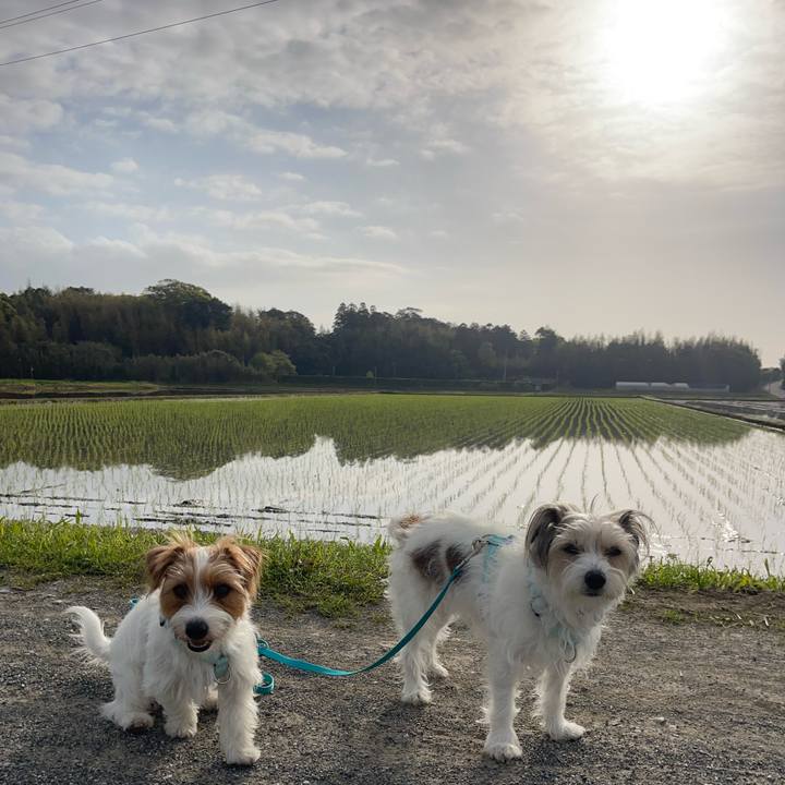 70327119 da2c 4b84 8f88 af6e8b62cb52 1776037132166