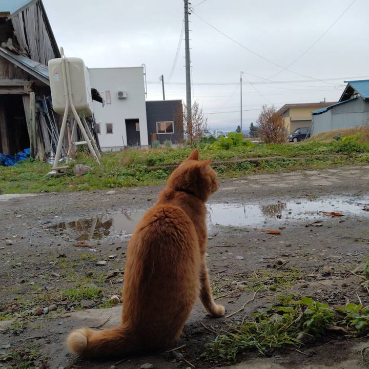 70329e1f 13b8 41d4 be8d 37bbe5204039 1669156817218