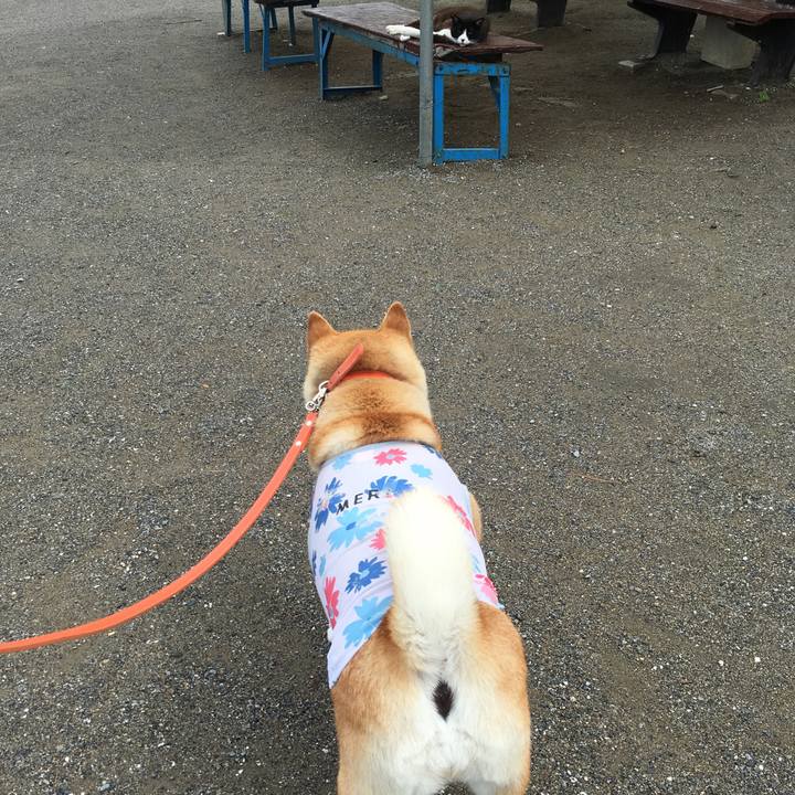 7032c353 817a 43aa b506 1240ea7406ad 1613298790447