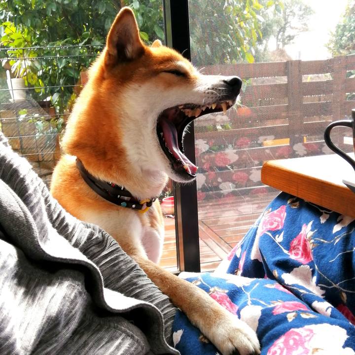 7032c6c6 6225 4709 b09f 86474995e4e1 1645325970449