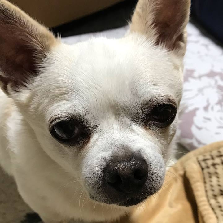 7032d1bd f42e 4827 9071 73d402c0c59d 1604399749471