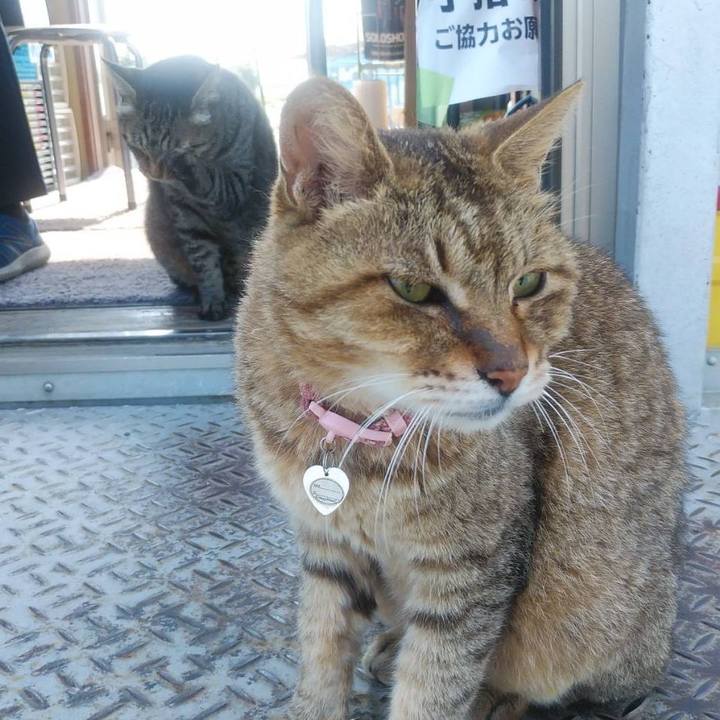 7032d8d4 5934 4f7f 8a6f bbad0adf8aac 1598318726186