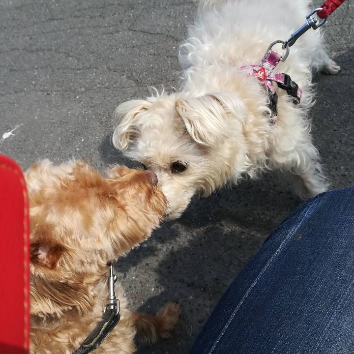 70331c00 8971 45de a032 08d35b48ce6f 1555720473090