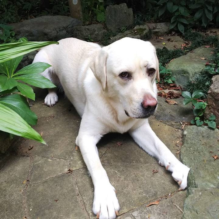 703331bc 9c0c 4967 a482 fd5aa2938fd7 1532492134395