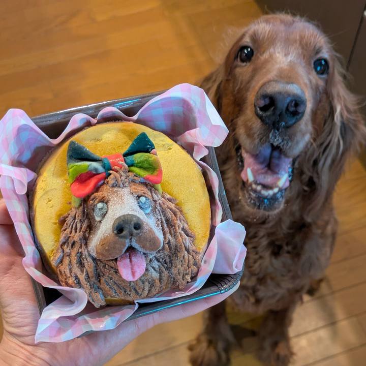 703333c2 bbec 46a5 ab88 26aa29d7a2ed 1756040978400