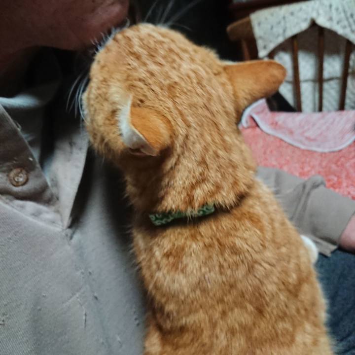 70335af2 9f7b 48e6 b2c7 24e859259a82 1580243728039