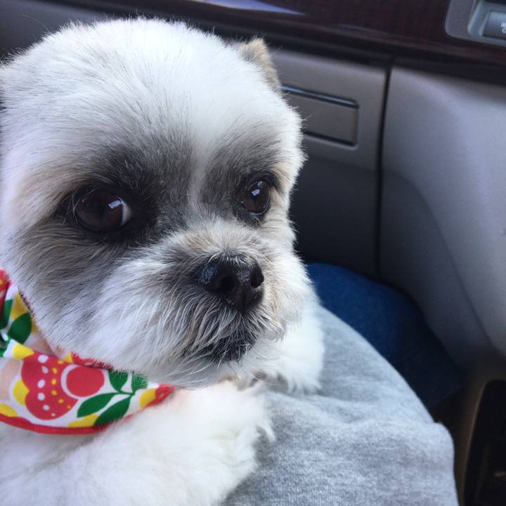 7033608b 70c3 4e0e b688 641c04a5b741 1526717982392