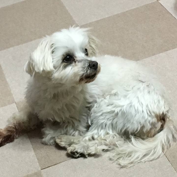 703388df b1a7 4984 a881 ea0a60cdffb6 1646737088965