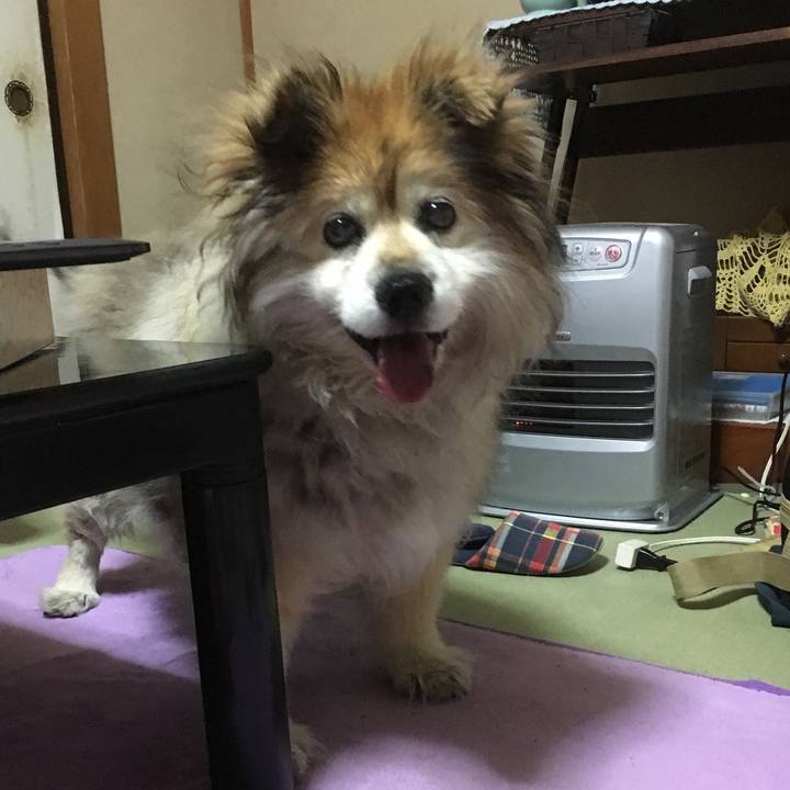 7033930c b665 4861 90cf 80f9f38a3685 1572775673558