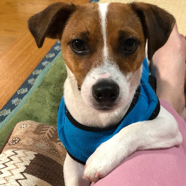 7033eba7 21ee 43f0 89eb 36ef38b0d0a7 1543491510341