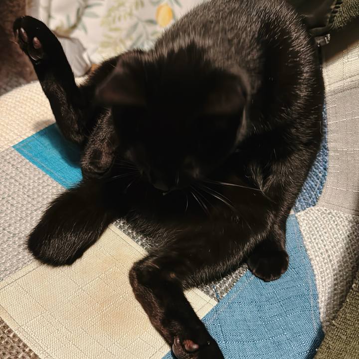 703426b3 c4e4 423f 917a 9609e3dc82ea 1738674315220