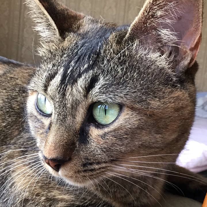 70344c0c 8a43 431d b9ac d26194787726 1658915781798