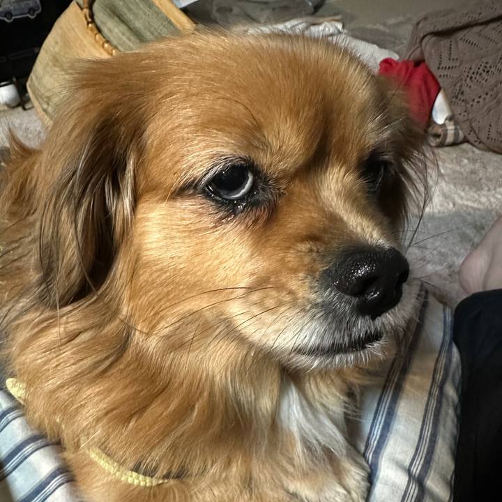 70344d8a c273 47d8 8562 2eaa43bcd433 1703626040555