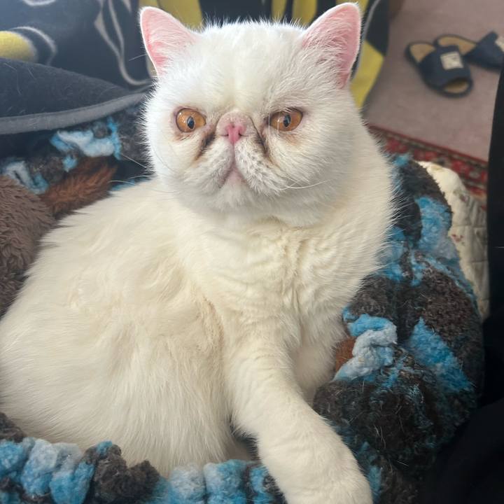 70346d24 509f 4947 807e dd8bcf56e606 1743312654827