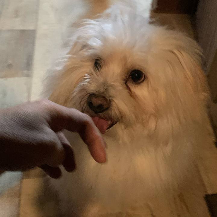 70349843 4db7 4777 81a3 c6bc0f8e7718 1644852713720