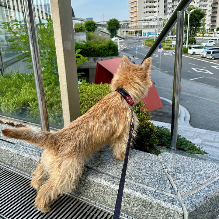 7034a1d9 7772 4abd a48a 0845fb17dad6 1718672748465