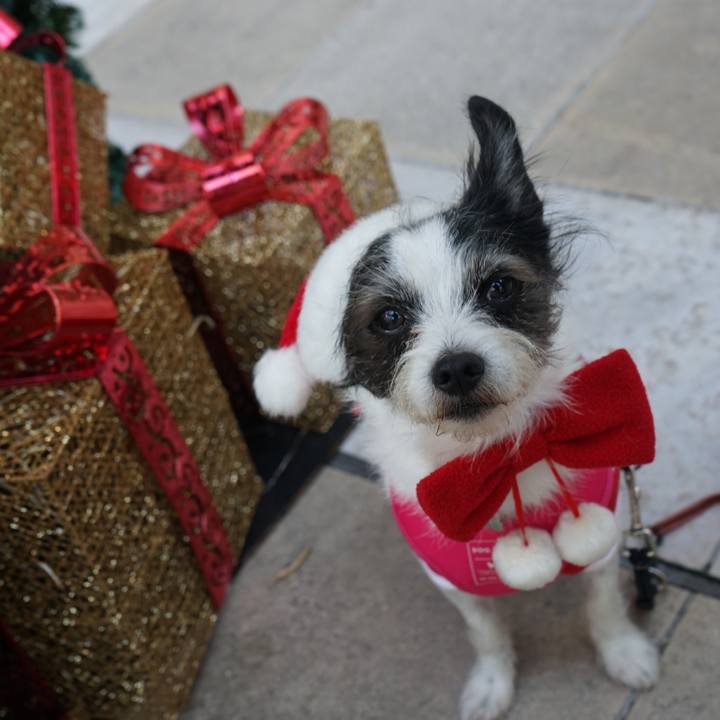 7034ca48 6612 44c2 805e b7ba2e88ff17 1671875747760