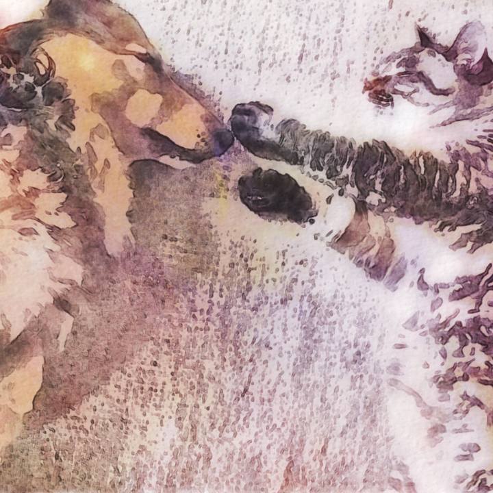 70350ba1 07f6 4c61 841d 084bb1f50457 1531777296433